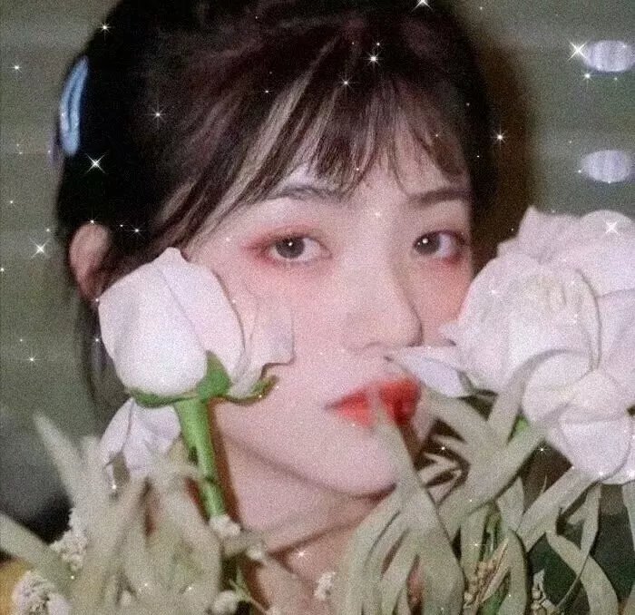 圣诞兔子